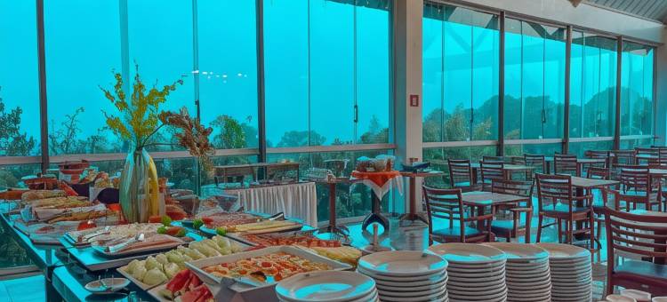 坎波斯杜若尔当丹酒店(Hotel Dan Inn Campos do Jordão)图片