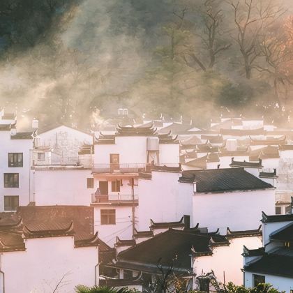 华东5市+迪士尼（Disney）+乌镇7日6晚跟团游