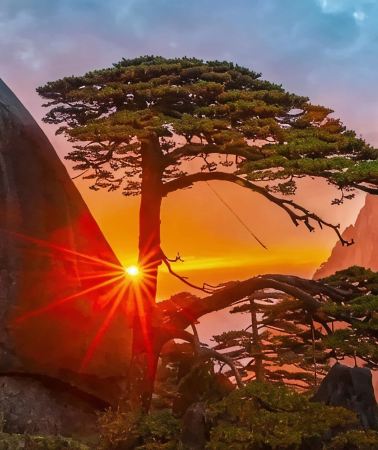6D5N • Huangshan City, Anhui + Huangshan Scenic Area + Hongcun Village + Taohuatan + Tunxi Old Street