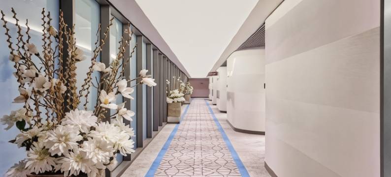 阿罗特尔马斯喀特酒店-机场中转(Aerotel Muscat - Airport Transit Hotel)图片