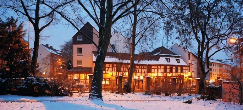 祖姆黄金奥森,城堡花园酒店&旅馆(Hotel Zum Goldenen Ochsen am Schlossgarten)图片