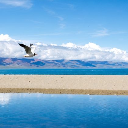 拉萨+珠峰大本营+羊卓雍错+纳木措景区7日6晚跟团游