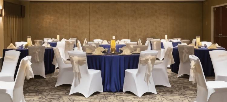 休斯顿西北希尔顿花园酒店(Hilton Garden Inn Houston NW/Willowbrook)图片