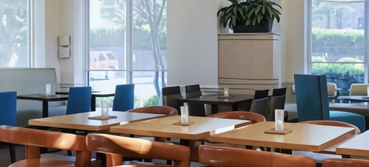 夏洛特北希尔顿花园酒店(Hilton Garden Inn Charlotte North)图片