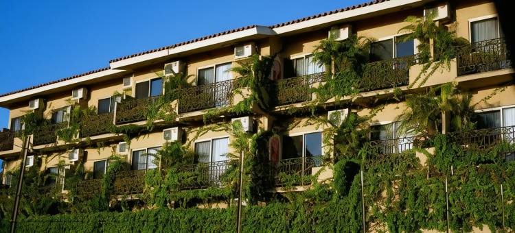 卡波维斯塔酒店(限成人)(Cabo Vista Hotel Adults Only)图片