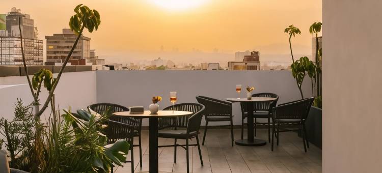 Sonder Cóporo图片