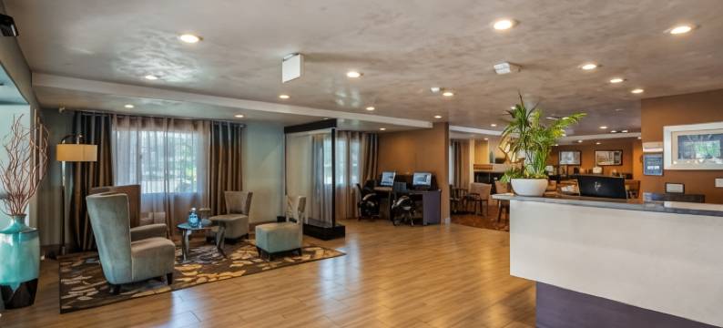 圣克拉拉贝斯特韦斯特大学酒店(Best Western University Inn Santa Clara)图片