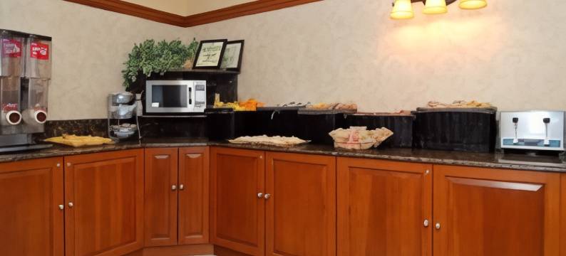 凯艺套房酒店(Quality Inn & Suites)图片