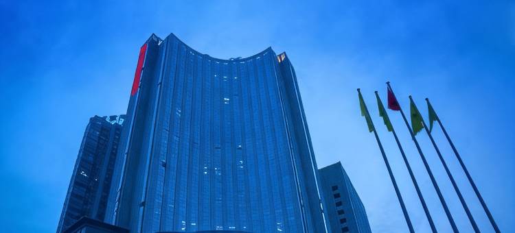 益阳通程国际大酒店图片