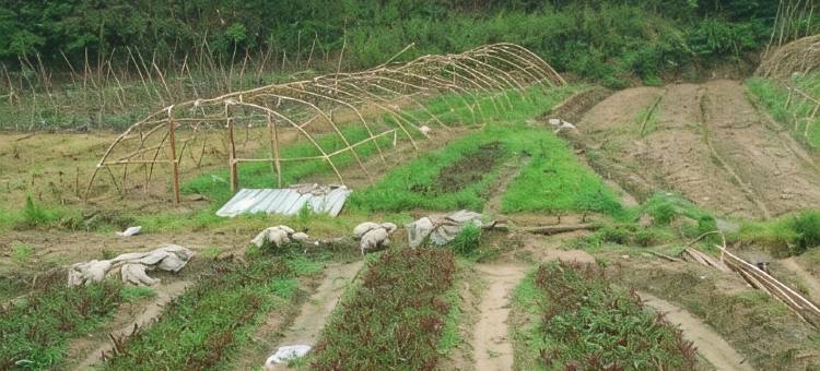 平江碧泉山庄图片