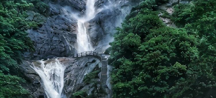 黄山翡翠度假村(黄山汤口南大门翡翠谷店)图片