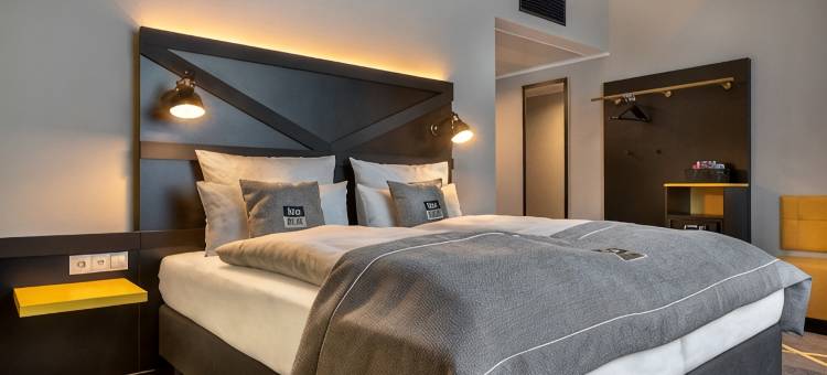 阿施海姆福瑞展览假日酒店- the niu(Holiday Inn - the niu, FURY ASCHHEIM MESSE by IHG)图片