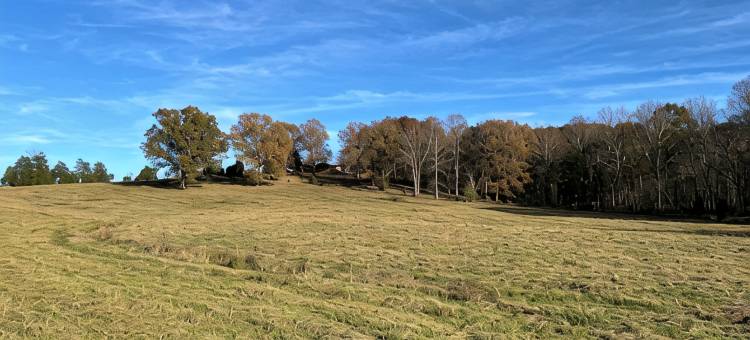 肖尼国家森林带空调迷人农家乐-三卧室(Charming farmhouse with AC in Shawnee National Forest- 3 bedrooms)图片