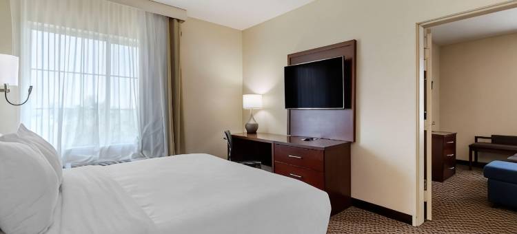 靠近六旗及医疗中心舒适酒店及套房(Comfort Inn & Suites Near Six Flags & Medical Center)图片