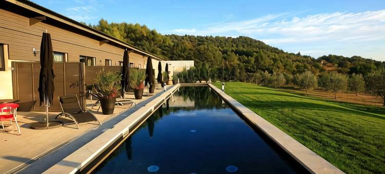 阿尔伯阁菲尼耶雷旅馆 - 蒐藏者(Auberge la Feniere)图片