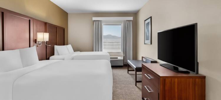 古德利茨维尔河门舒适套房酒店(Comfort Suites Goodlettsville Rivergate)图片
