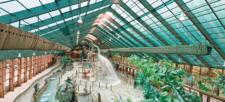 西门大烟山水疗度假村(Westgate Smoky Mountain Resort & Spa)图片