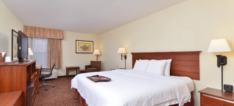 希尔顿欢朋酒店-伊格尔帕斯(Hampton Inn Eagle Pass)图片