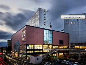 水户大和鲁内酒店(Daiwa Roynet Hotel Ibaraki Mito)