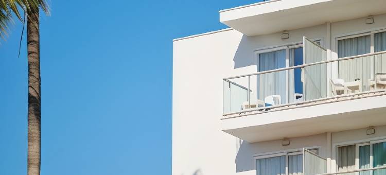 Alua Boccaccio图片