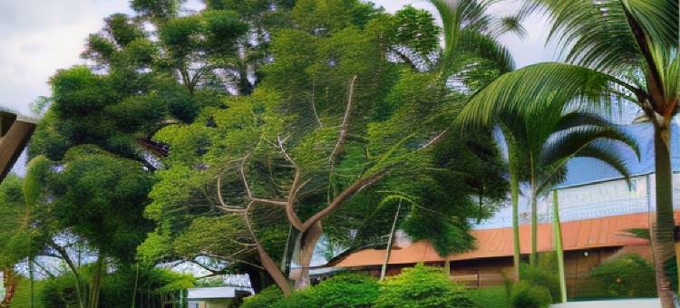 帕尔米尔酒店与会议中心(Palmier Hotel & Convenções)图片