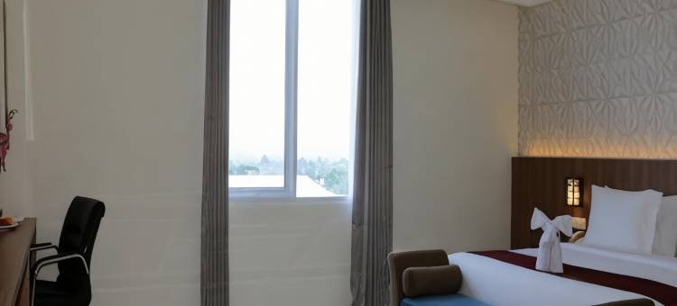 Horison Sentani图片