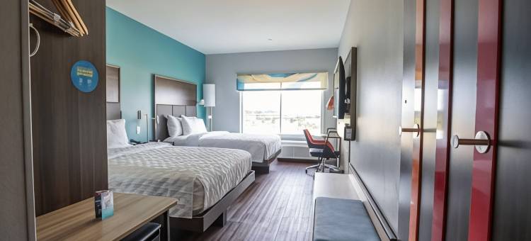 达拉斯艾伦希尔顿Tru酒店(Tru by Hilton Allen Dallas)图片