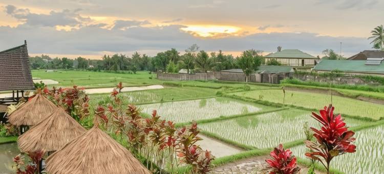 德萨维萨塔乐塞汉查哈雅特特巴图旅馆-清真(Lesehan Cahaya Tetebatu Inn Syariah at Desa Wisata)图片