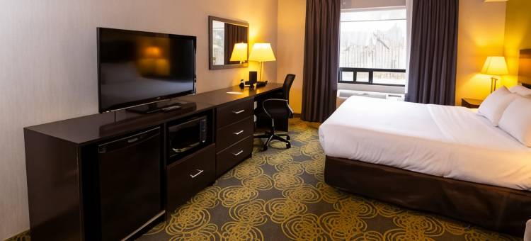 舒适套房酒店(Comfort Hotel & Suites)图片