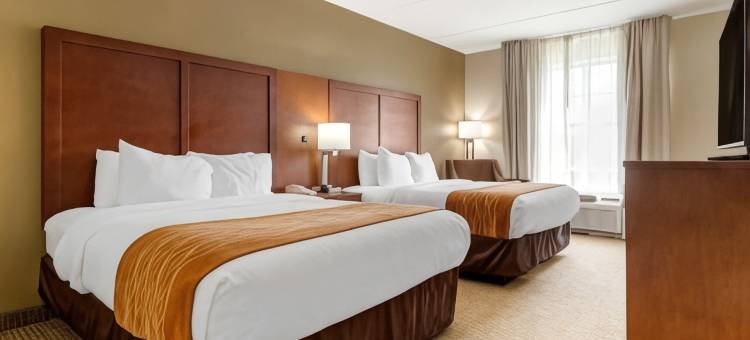 舒适套房酒店(Comfort Inn & Suites)图片