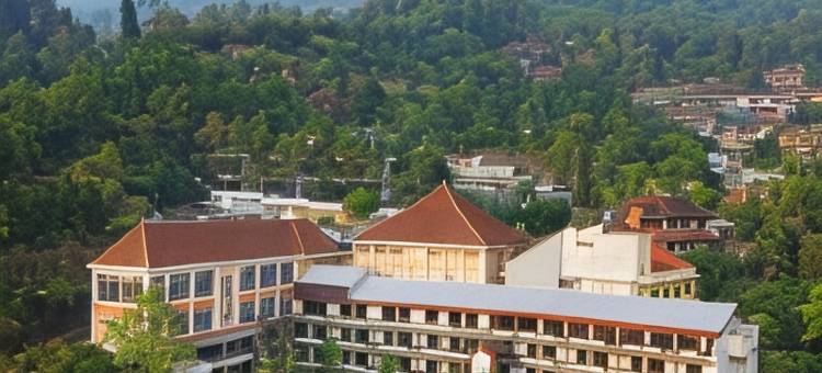 皇家酒店及会议中心-特雷特斯(Royal Hotel and Convention Tretes)图片