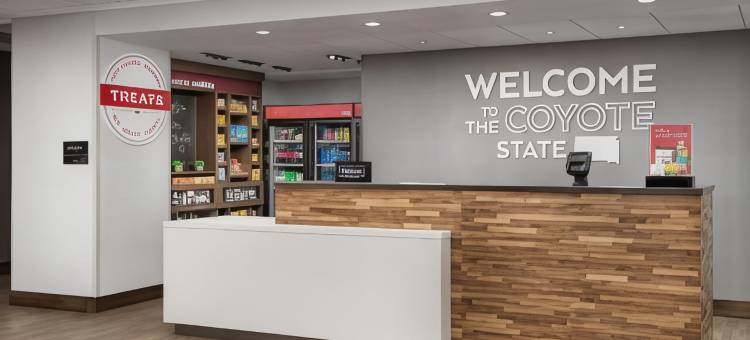 拉什莫尔拉皮德城欢朋套房酒店(Hampton Inn & Suites Rapid City Rushmore)图片