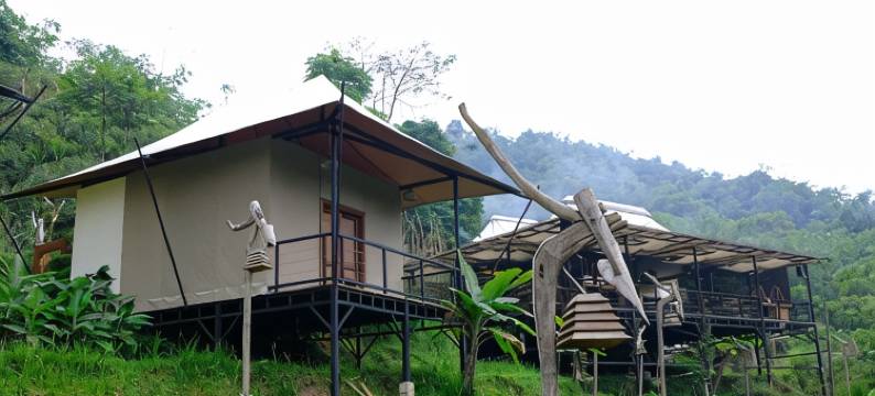 Pakarangan Glamping Resort图片