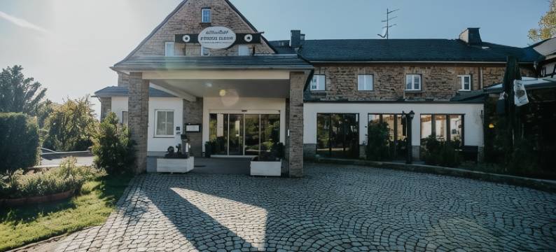 高公鸡阳光酒店(Sonnenhotel Hoher Hahn)图片