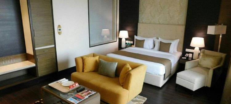 拉普萨亚吉酒店(Sayaji Raipur)图片