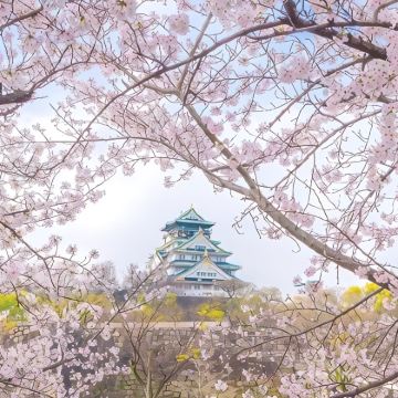 日本大阪+奈良+京都6日5晚私家团