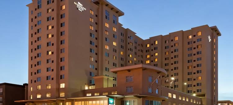 休斯顿商业街附近Homewood酒店(Homewood Suites by Hilton Houston Near the Galleria)图片