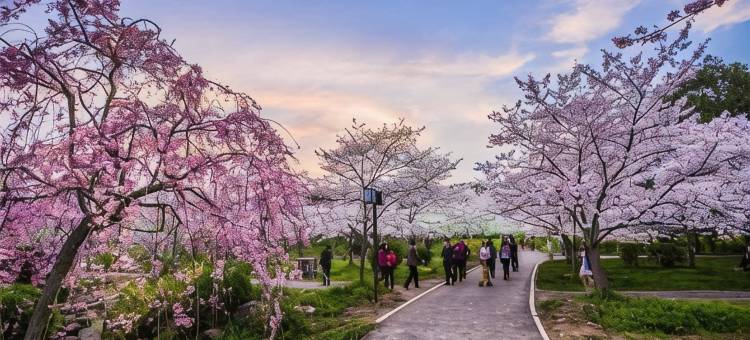 OYO武汉圣华旅馆图片