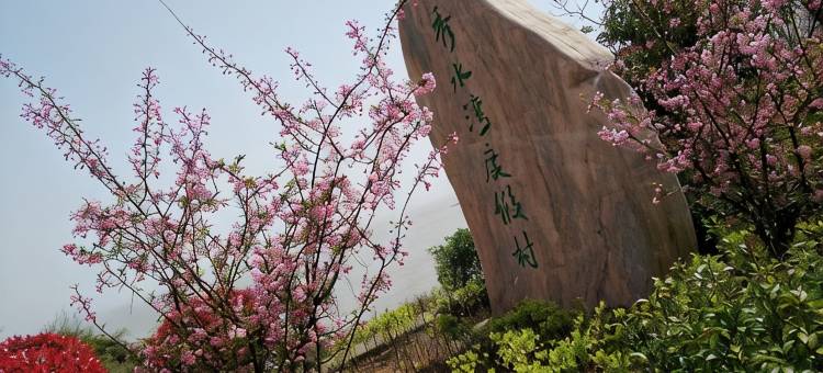 岱山秀山秀水湾休闲度假村私人海景公寓图片
