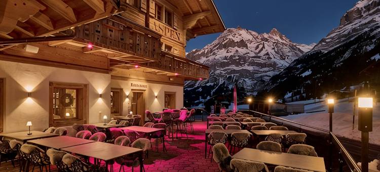 阿斯彭阿尔卑斯休闲酒店(Aspen Alpin Lifestyle Hotel)图片