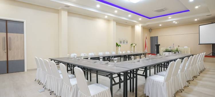 艾米塔别墅酒店(Hotel Villa Emitta)图片