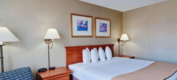 品质酒店(Quality Inn)图片