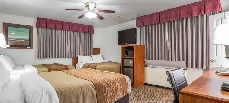 艾尔克市中心罗德威酒店(Rodeway Inn Elko Downtown Area)图片