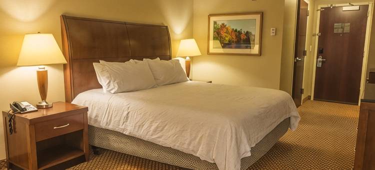 班戈尔希尔顿花园酒店(Hilton Garden Inn Bangor)图片