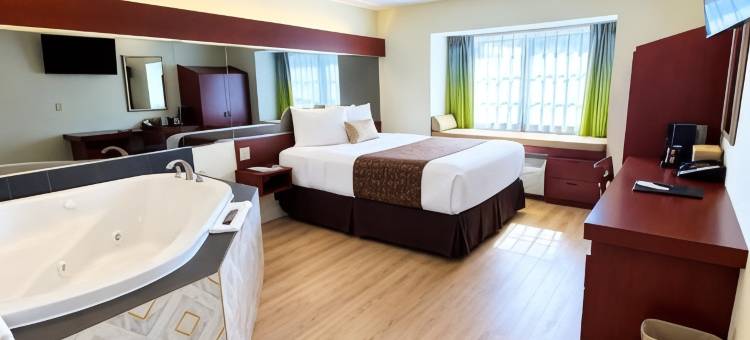多佛麦客达套房酒店(Microtel Inn & Suites by Wyndham Dover)图片