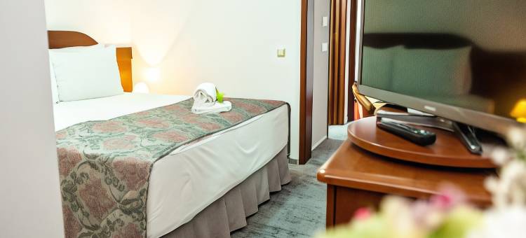 锡比乌公园酒店(Hotel Parc Sibiu)图片