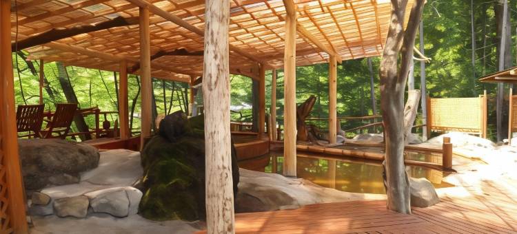 赤石温泉(Akaishi Onsen)图片