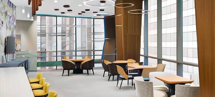 纽约市中心曼哈顿金融区万豪万怡酒店(Courtyard New York Downtown Manhattan/Financial District)图片