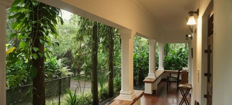 Vanilla County图片