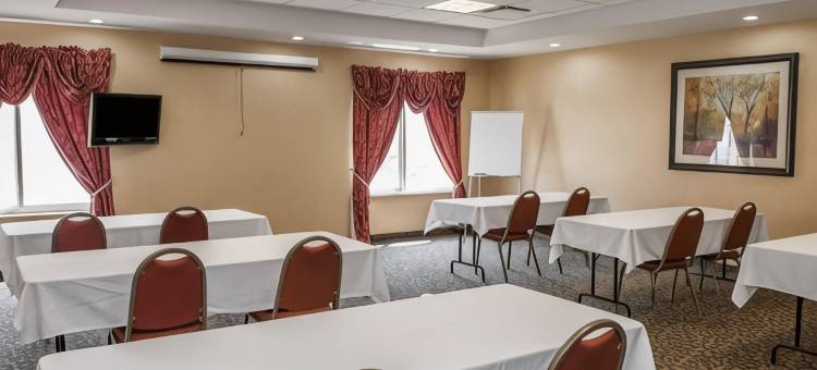 舒适套房酒店-近印第安纳波利斯机场(Comfort Suites Near Indianapolis Airport)图片